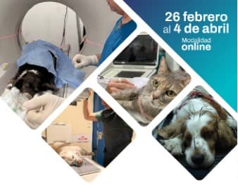 Métodos de diagnóstico complementario en Neurología Clínica